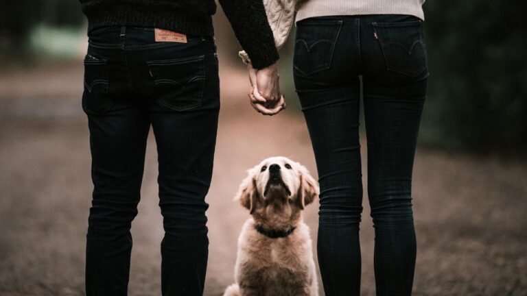 Psychology Says Dogs Experience Social Jealousy and Use Deliberate Interruption Behaviors to Reclaim Attention