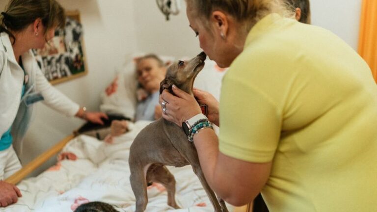 If You Talk to Your Pet More Than Other People, Psychologists Say You're Not Lonely – You're Emotionally Intelligent