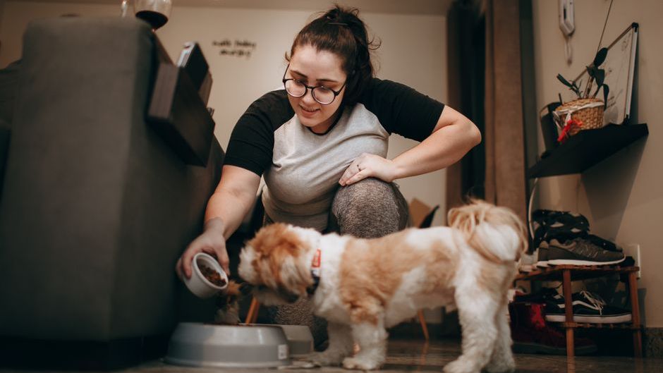 16 Tiny Things You Do Every Day That Make Your Dog Feel Completely Safe