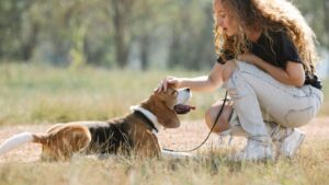 15 Daily Habits That Make a Dog Feel So Safe They Never Want to Leave Your Side