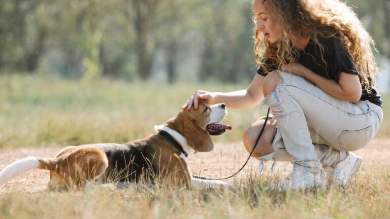 14 Small Gestures That Mean Everything to a Dog Who Has Chosen You as Their Person