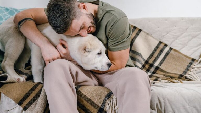 Psychology Says Dogs Stop Initiating Affection When They Have Been Ignored Often Enough to Expect Rejection