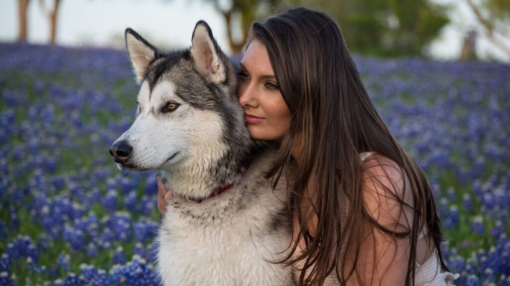Why Dogs Behave Differently Around Their Owners When They Hit Menopause