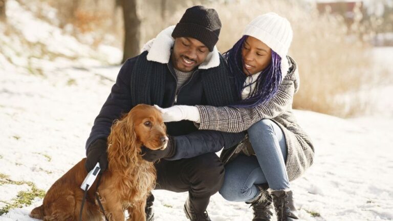 9 Dog Breeds That Develop Depression If They Don't Get Enough Physical Touch Every Single Day