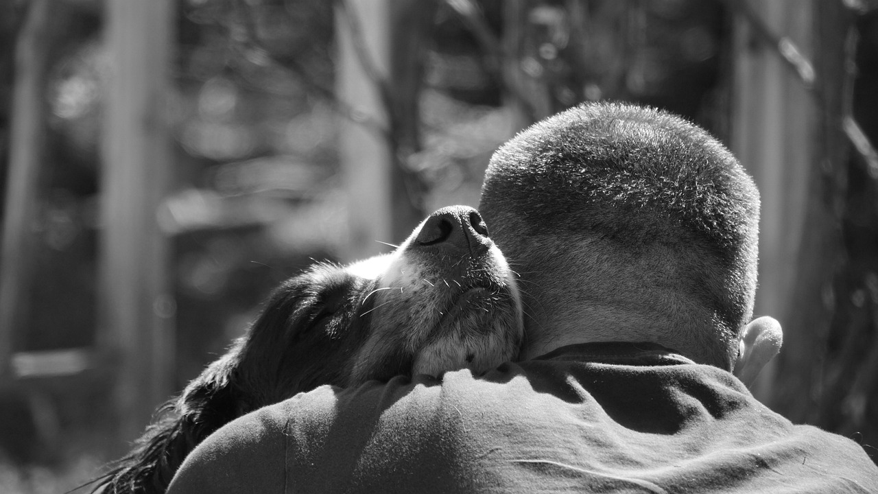 What Your Dog Is Really Doing When They Press Their Head Against You (It's Not Just Affection)