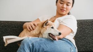7 Behaviors Your Dog Does That Mean They're Trying to Heal Your Emotional Wounds