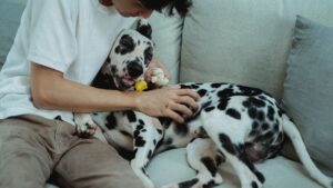 Psychology Says Experiencing A Loss Of Purpose After Losing A Pet Is Merely A Testament To How Deeply You Devoted Your Life To Your Pet When They Were Here On Earth