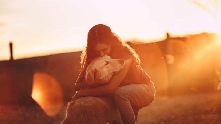 People Who Need To Be Alone When Saying Goodbye To A Dying Pet Are Often Protecting A Pure, Singular Memory Of Their Companion