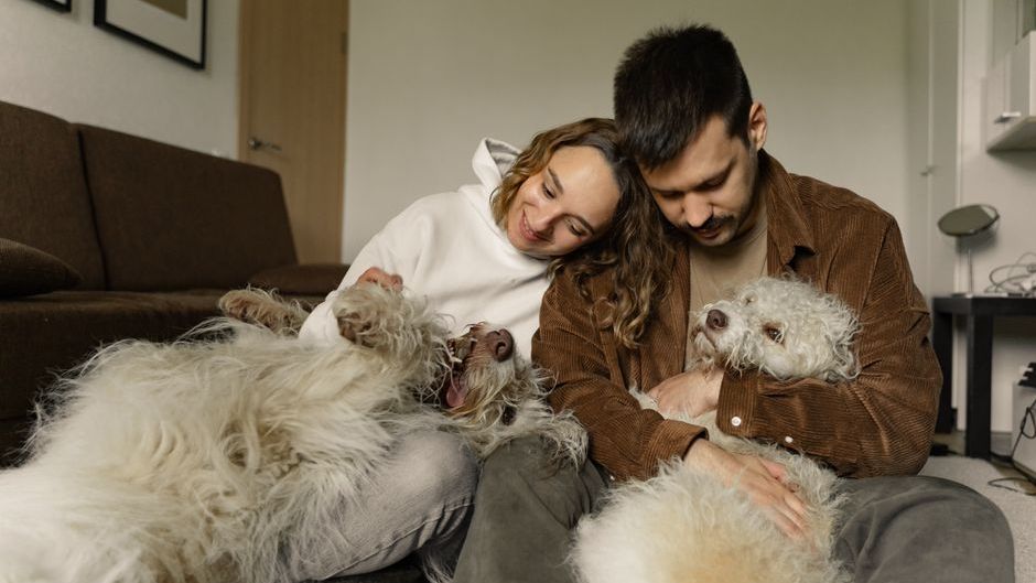 People Who Let Their Dog Sleep Touching Their Face at Night Share This One Rare Personality Trait