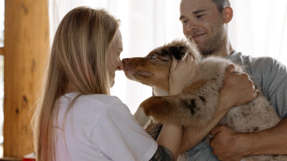 Canine Science Says It’s Time to Debunk the Myth of the 'Grateful Rescue' and Focus on What Science Actually Tells Us About Canine Love