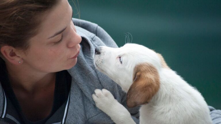 Animal Science Says the Way Your Dog Greets You After Work Reveals Exactly How Secure They Feel in Your Relationship