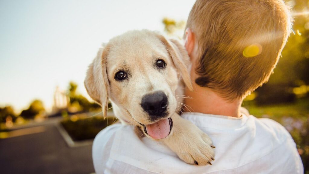 11 Things That Happen to Lonely People When They Finally Get a Dog - According to Therapists