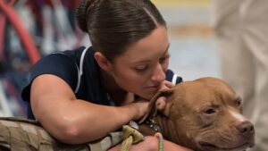 Why Dogs With Female Owners Live Longer - And the Data Is Impossible to Ignore
