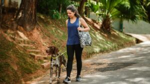 Canine Behaviorists Explain: A Lack of Daily Routine and Environmental Boundaries Causes Confusion and Stress in Dogs
