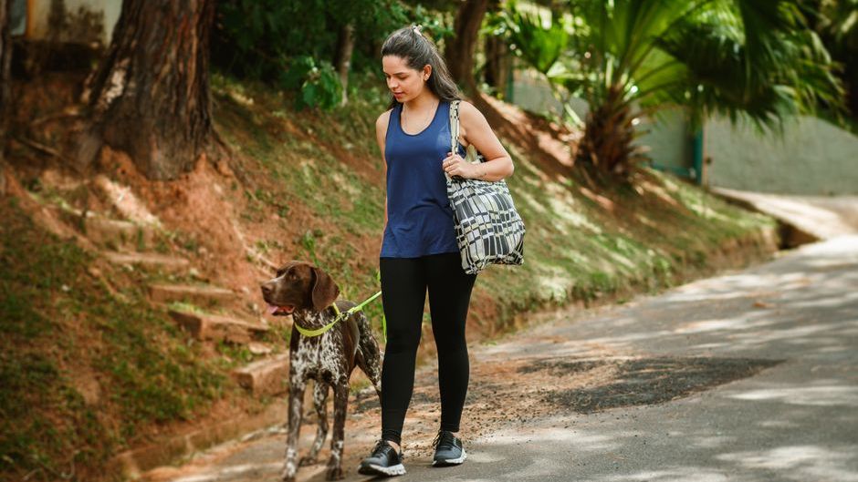 Canine Behaviorists Explain: A Lack of Daily Routine and Environmental Boundaries Causes Confusion and Stress in Dogs