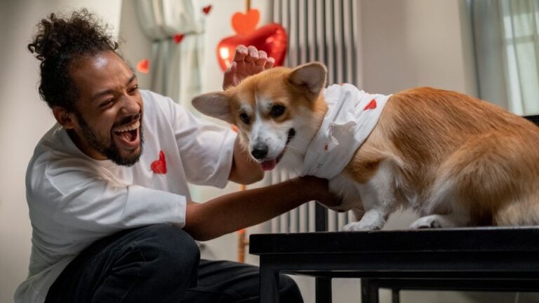 Dog Psychology Says Attached Dogs Mirror Their Owner's Heart Rate and Respiration Rhythms During Relaxation