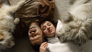 8 Reasons Dogs Know When a Marriage Is Falling Apart Before Both Spouses Do