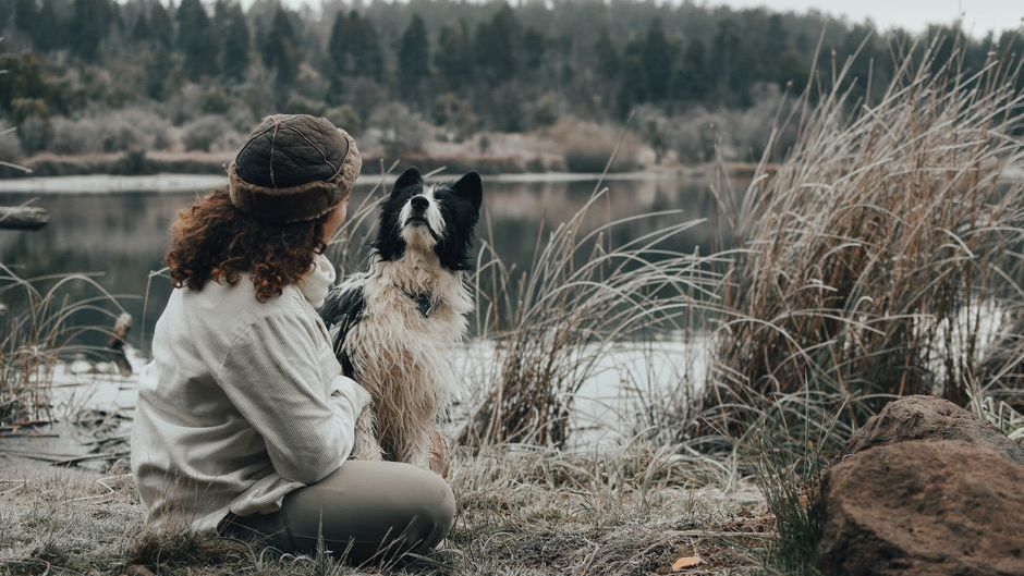 8 Things Your Dog Does Every Morning That Reveal How Happy Their Inner Life Is