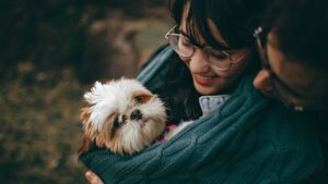 8 Dog Breeds That Provide the Most Comfort to Adults Over 60 - According to Therapists