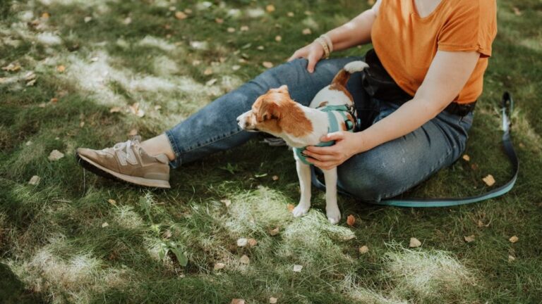 How Your Zodiac Sign Affects the Bond You'll Have With Your Dog