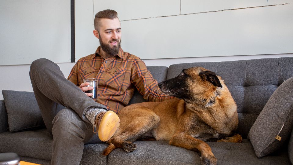10 Things That Change in a Dog the Day Their Owner Brings Home a New Partner