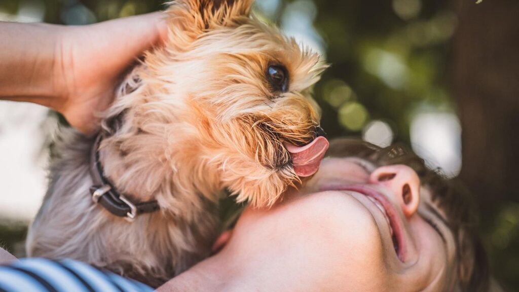 9 Quiet Signals Your Dog Gives You When They're Saying I Trust You With My Life