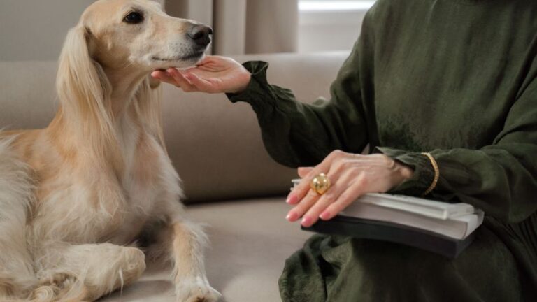 Which Zodiac Signs Form Lifelong Attachments to Their Dogs