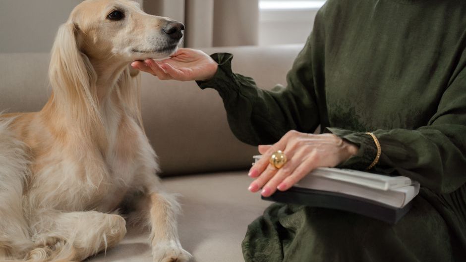 Which Zodiac Signs Form Lifelong Attachments to Their Dogs