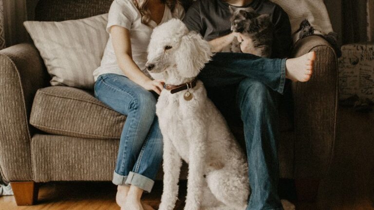 Animal Psychology Says the First Person Your Dog Greets When You Come Home Reveals Who They Trust to Protect Them Most
