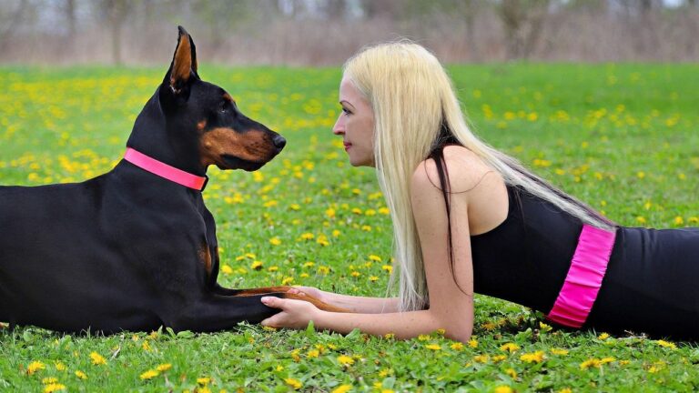 The Dog Breed Your Zodiac Sign Would Choose If Emotions Made The Decision