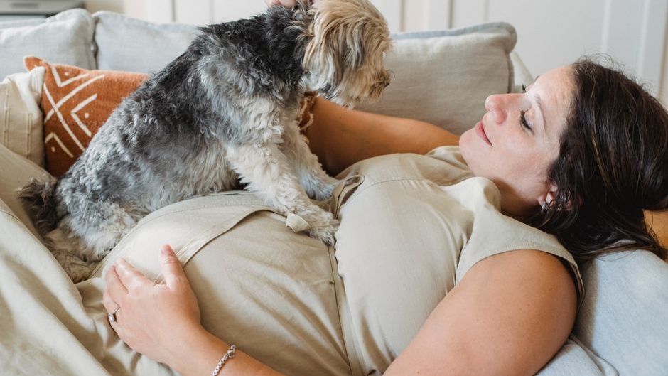 10 Things Your Dog Does When They Know You're About to Have a Baby