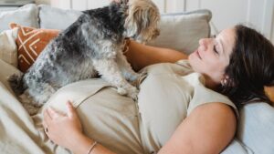 7 Things Your Dog Can Smell on You That Reveal Your Deepest Secrets