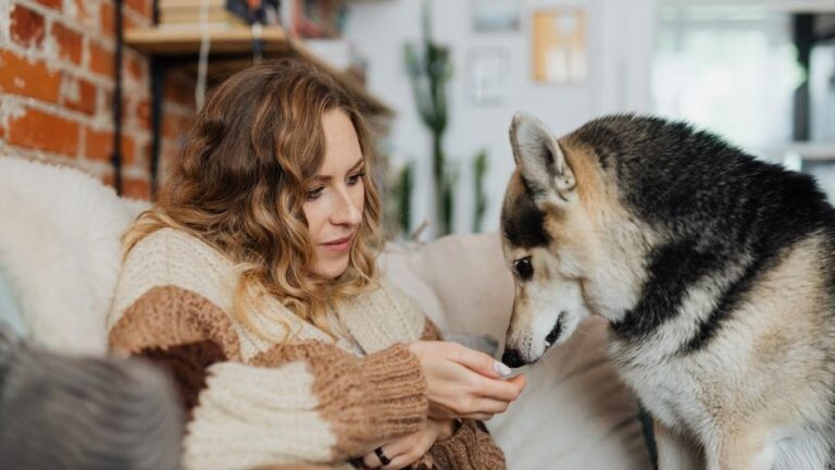 Psychology Says Dogs Who Wake You Up at 3 AM Aren't Being Annoying – They're Responding to a Threat Your Sleeping Brain Already Detected