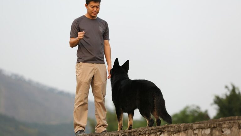Which Zodiac Signs Are Most Likely to Treat Their Dog Better Than Any Human in Their Life