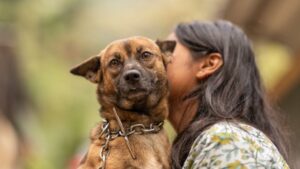 7 Things People With Anxiety Do That Their Dogs Actually Find Comforting