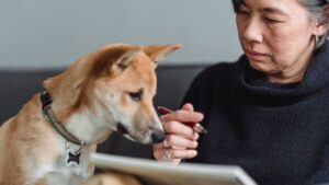11 Reasons Dog Owners Over 50 Are the Most Devoted Pet Parents on Earth