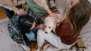 8 Things Your Dog Remembers From Puppyhood That Still Shape How They Love You Today