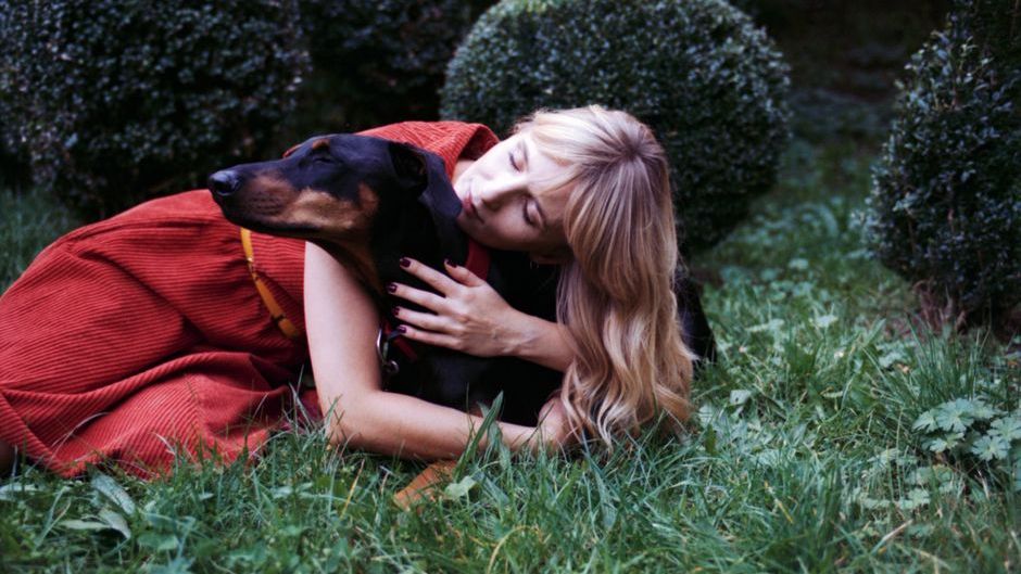 Why Losing a Dog Often Hurts More Than Losing a Human Friend