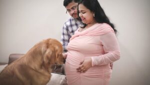 10 Things Your Dog Does When They Know You're About to Have a Baby
