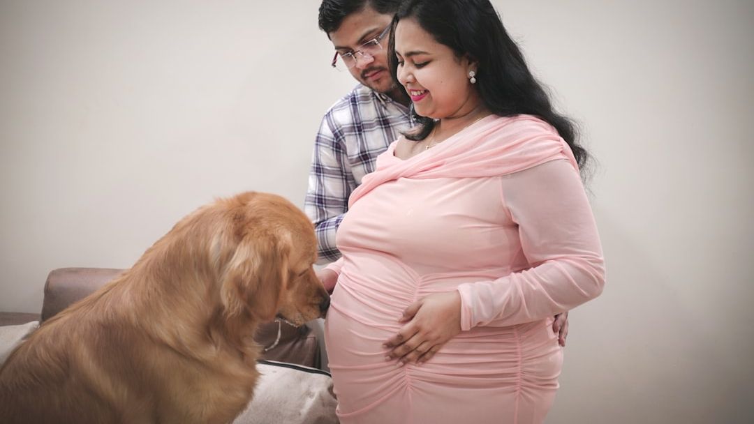 10 Things Your Dog Does When They Know You're About to Have a Baby