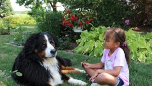 8 Things Your Dog Teaches Your Children That No School Ever Could