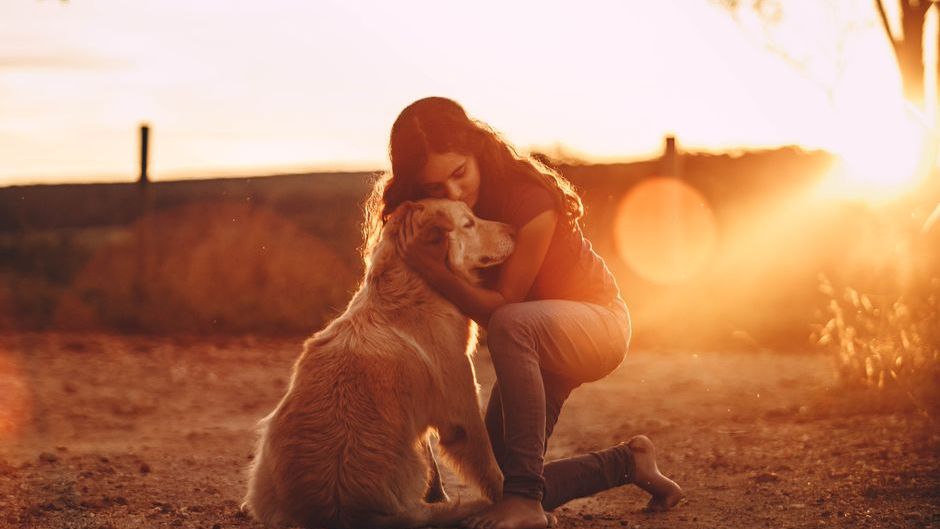 People Who Cry More When Their Dog Dies Than When Relatives Pass Aren't Cold – They're Experiencing a Purer Form of Love