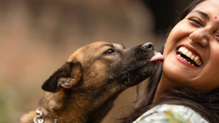 The Stunning Reason Dogs Lick Your Tears - Science Finally Has an Answer