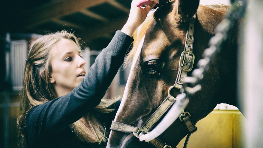 Why Grooming Your Horse Is the Key to Bonding
