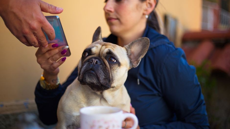 Ever noticed your dog squeezing between you and a friend, or nudging your hand away from your phone?