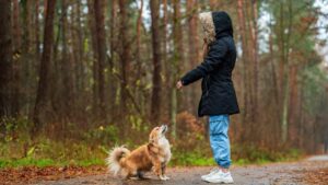Why Your Dog’s Bad Habit Might Be Your Fault