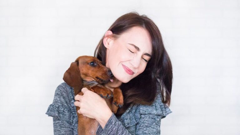 Choosing the right dog to fit into a bustling lifestyle can be a daunting task.