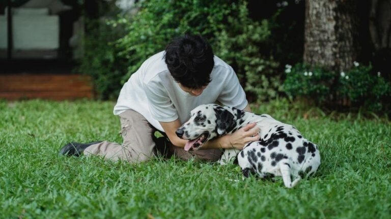 The One Dog Breed Each Zodiac Sign Should Never Own — And Why