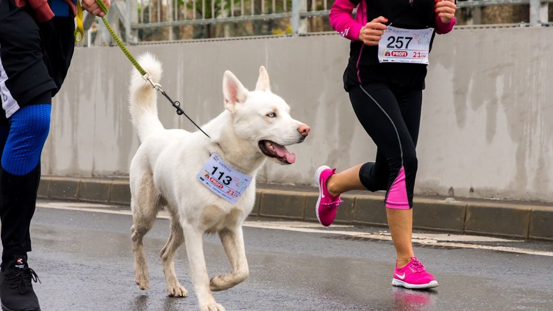 10 Mistakes Dog Owners Over 55 Make That Veterinarians See Every Week