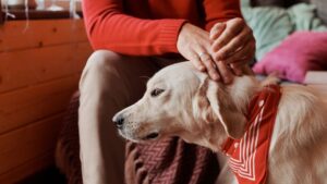 9 Ways Your Dog Changes When You Enter Your 50s - It's Not What You Think